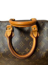 Louis Vuitton Speedy 25 Monogram