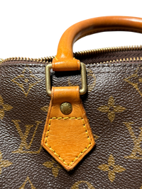Louis Vuitton Speedy 25 Monogram