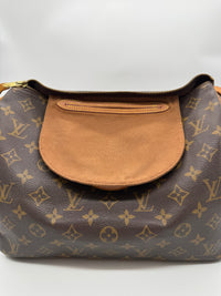 Louis Vuitton speedy 30 monograma canvas
