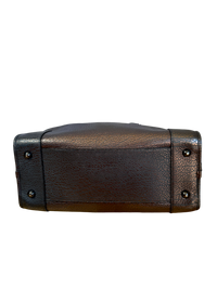 Loewe Amazona 36 Piel granulada Metalizada